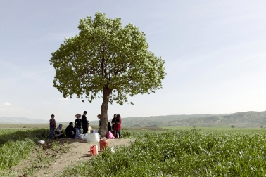 Picnic under tree