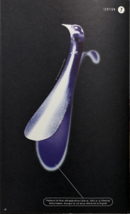 <b>GOERTZ</b> ALLES GEHT Booklet inside <span style='color: #c1c1c1;'>Bergling/Witte cooperation work GOERTZ